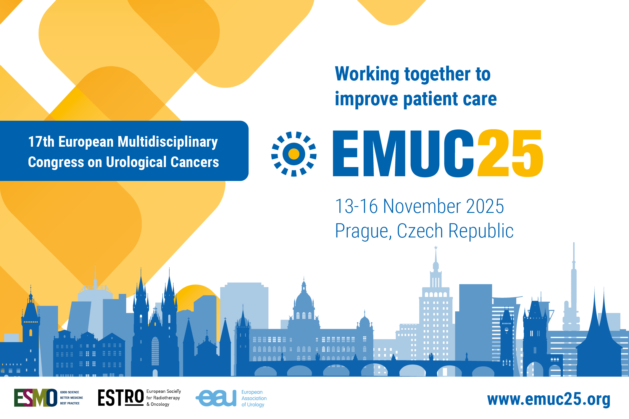 17th edition of the European Multidisciplinary Congress on Urological Cancers (EMUC25)